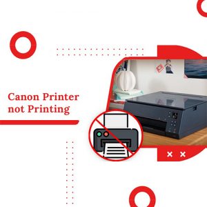 Solutions for canon not printing issues