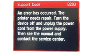 B203 Canon Error